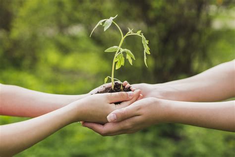 El método Santander para impulsar la educación ambiental Post by