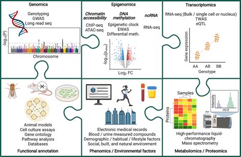 Frontiers Harnessing The Full Potential Of Multi Omic Analyses To