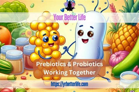 Prebiotics And Probiotics Key Differences And Health Benefits Your