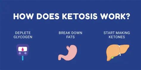 Difference Between Ketosis And Ketoacidosis Difference Guru