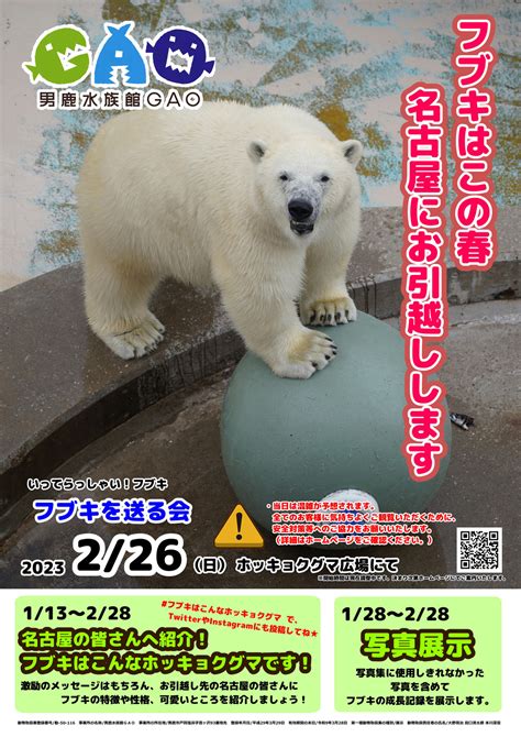 男鹿市男鹿水族館GAOでホッキョクグマのフブキを送る会が開催されます2023 2 26