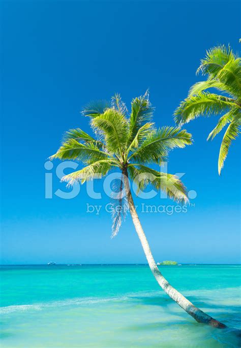 Sunny Landscape Stock Photo | Royalty-Free | FreeImages