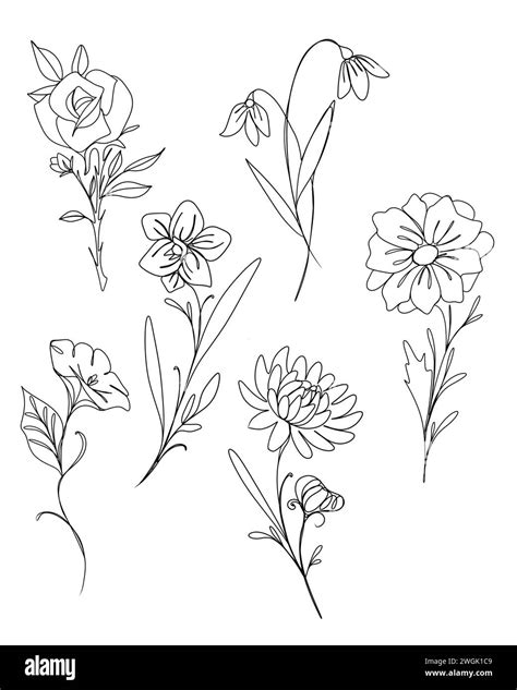 Line Art Drawing Of Flowers Minimalism Sketch Idea For Invitation