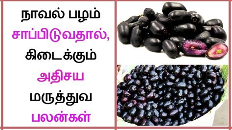 Amazing Health Benefits Of Jamun Fruit In Tamil I Black Plum I Naval