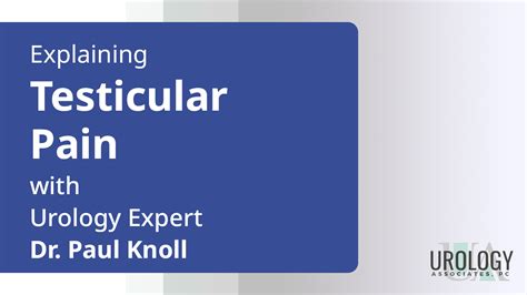 Explaining Testicular Pain With Urology Expert Dr Paul Knoll Dr Paul Knoll