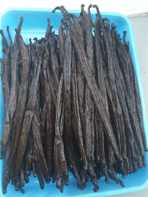 Vanilla Bean Gourmet | Vanilla Planifolia For Sale - Commodity Export