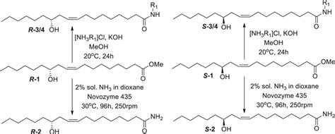 Synthesis Of R And S Ricinoleic Acid Derivatives Primary Amides