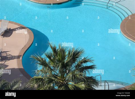 swimming pool  las vegas nevada stock photo alamy