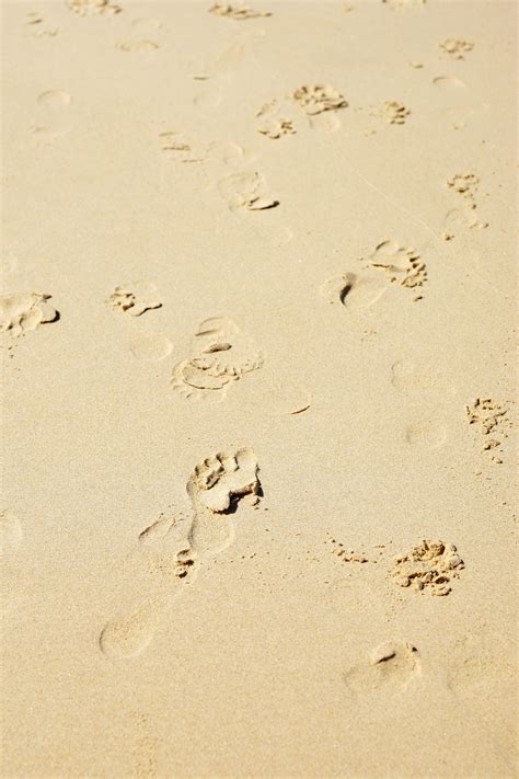 sand texture with footprints