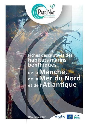 Inpn Actualit S Les Habitats Marins Benthiques De M Tropole Ont