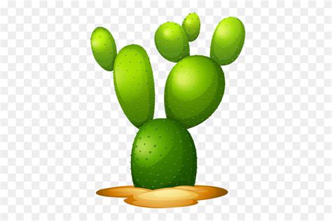 Clipart - Cacti PNG - FlyClipart