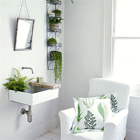 The Best Bathroom Plants For Your Interior Decoist