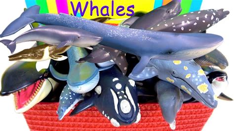 Toy Blue Whales Wow Blog