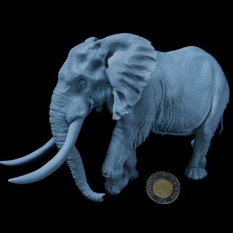 African Bush Elephant Bull Discover D Stl And Pre Supported Models