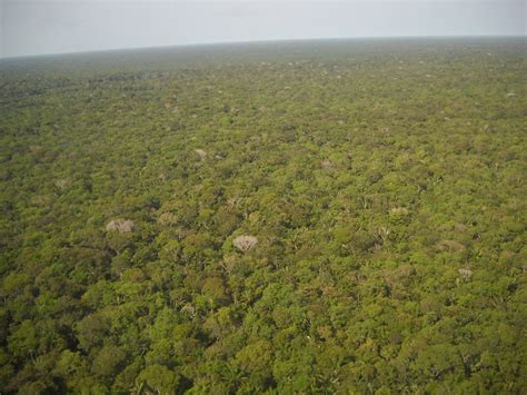 IBGE anuncia atualização do Mapa da Amazônia Legal MundoGEO