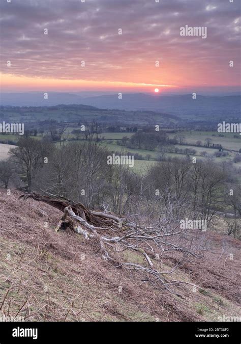 clee hill common  res stock photography  images alamy