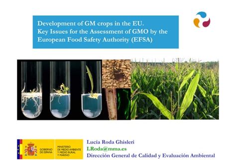 Lucía Roda Ghisleri Development Of Gm Crops In The Eu Key Issues For