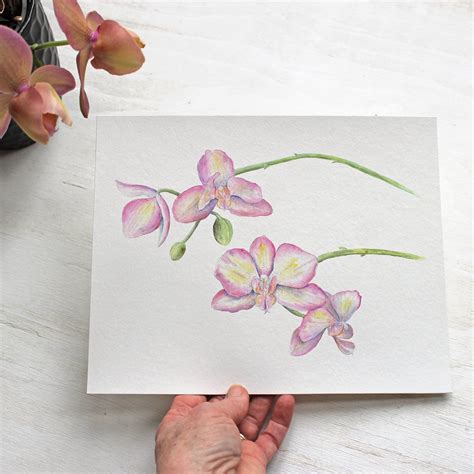 Orchid Watercolor Print – Trowel and Paintbrush