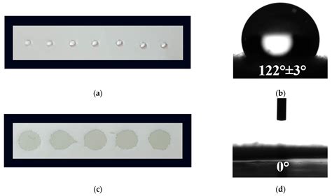 Polymers Free Full Text Quercetin And Rutin Containing Electrospun