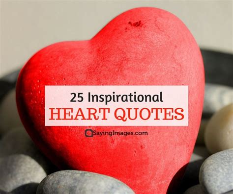 a red heart surrounded by rocks with the words 25 inspirational heart quotes