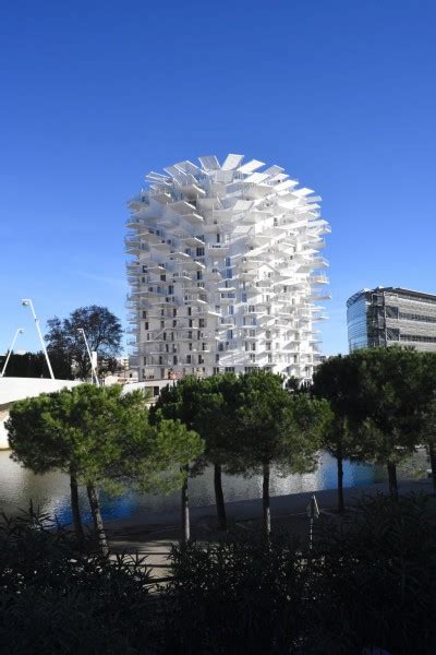 Fujimoto Oxo Laisn Roussel Larbre Blanc Montpellier Afasia