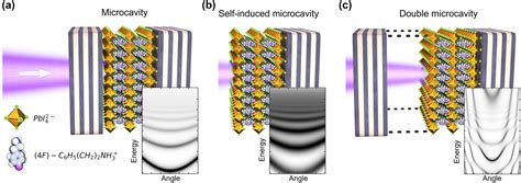 Non Hermitian Polariton Photon Coupling In A Perovskite Open Microcavity