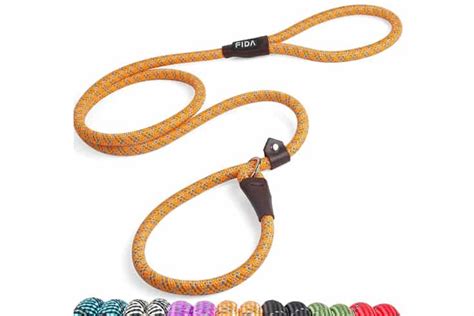 8 Types of Dog Leashes & How to Choose the Best One