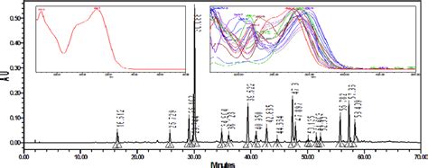 Hplc Pda Chromatogram Of Crude Extract Of Salvia Spinosa L Lamiaceae