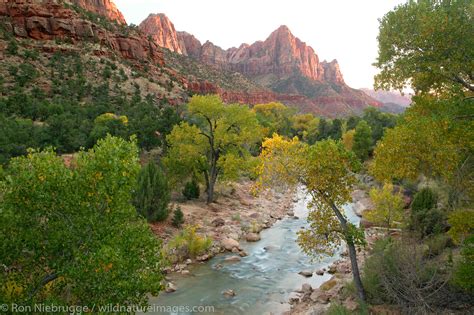 North Fork Virgin River and The Watchman | Zion National Park, Utah ...