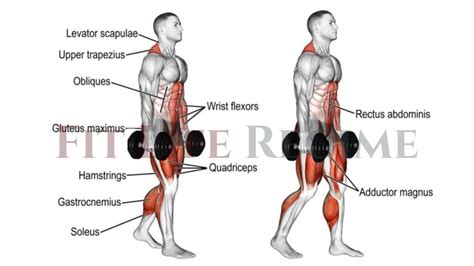 7 Best Dumbbell Calf Exercises to Strengthen Your Calves