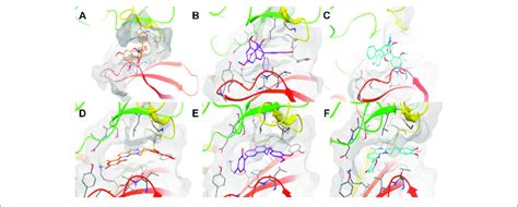 Docking Poses Obtained For Roc A Using A Gold In Orange B Fred