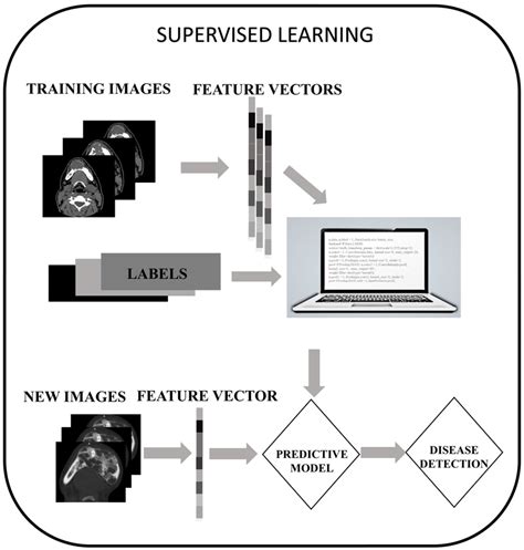 Example Of A Supervised Machine Learning Network That Uses Deep Download Scientific Diagram