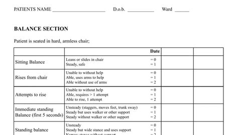 Tinetti Balance Form ≡ Fill Out Printable Pdf Forms Online