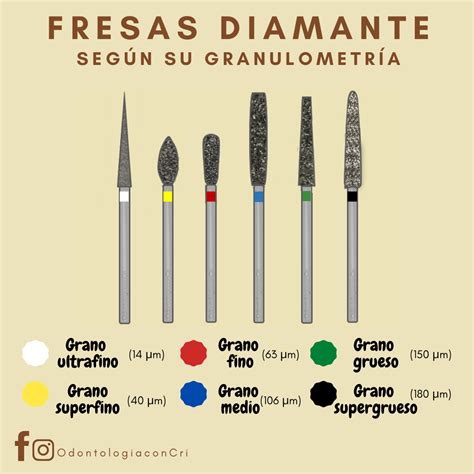 Las Fresas Pueden Tener Diferentes Grosores De Grano Seg N Las