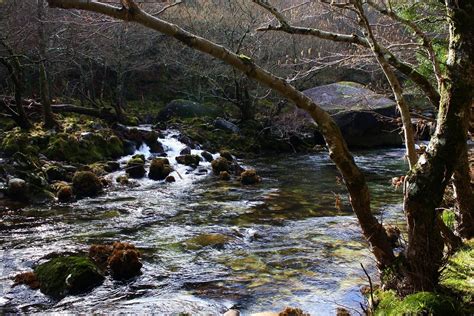 Imagen Gratis Agua Arroyo R O Cascada Naturaleza Madera Paisaje