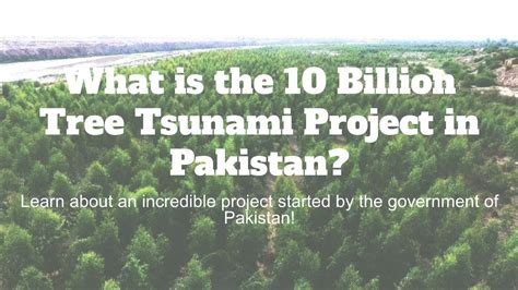 What Is The 10 Billion Tree Tsunami Project In Pakistan Youtube