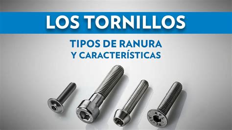 Los 36 Tipos De Tornillos Principales Y Sus Usos Pdf 50 Off