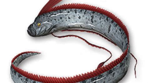 Oarfish - Like a Dragon: Infinite Wealth Database | Gamer Guides®