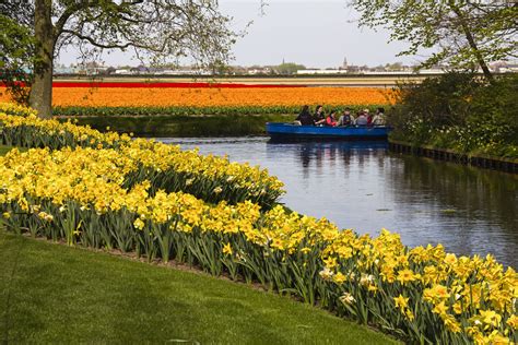 Enjoy a cruise along the tulip fields at Keukenhof Gardens