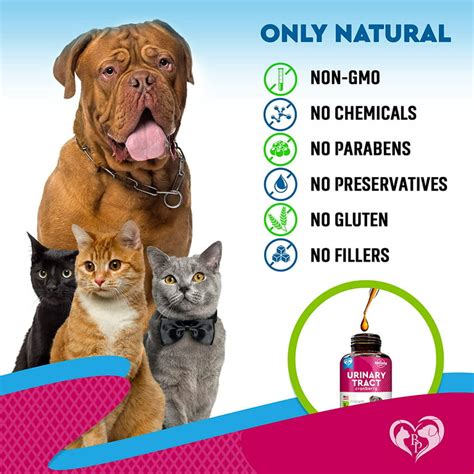 Cat Dog Urinary Tract Infection Treatment Natural UTI, 53% OFF