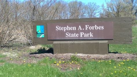 Stephen A Forbes State Recreation Area Oak Ridge Campground Kinmundy