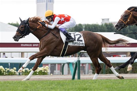 武豊騎手「大物感ある」アルテヴェローチェが着差以上の快勝／新馬戦 2歳馬特集 競馬写真ニュース 日刊スポーツ