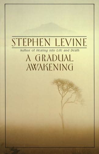 A Gradual Awakening By Levine Stephen Very Good Trade Paperback