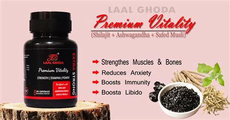 Best Ayurvedic Medicine For Premature Ejaculation Has Especially For Men