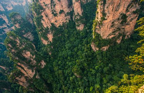 Zhangjiajie Karst Pillars Stock Photo - Download Image Now - Asia, Awe, Beauty - iStock