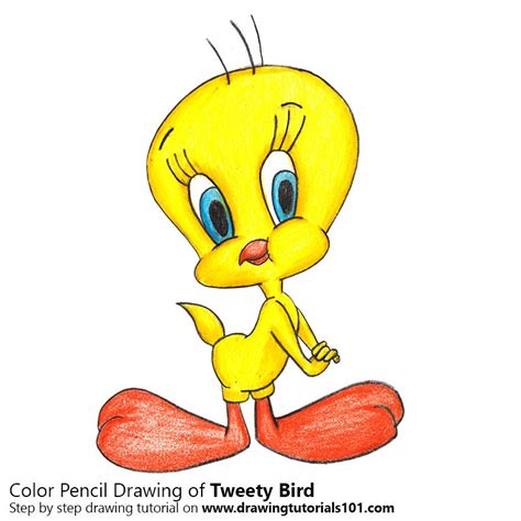 Tweety Bird Drawing Free Download On Clipartmag