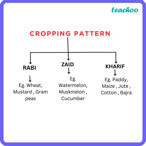 What Are The Three Cropping Seasons In India Explain At Abigail