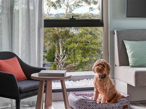 11 Of Australias Best Pet Friendly Luxury Hotels