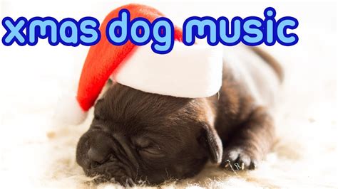 Christmas Music For Dogs Jingle Bells Away In A Manger For Dogs