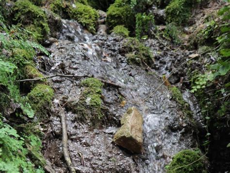 La Delimitaci Del Parc Natural De Prades Es Posa En Marxa D B